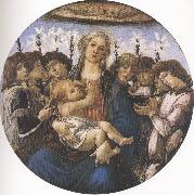 Sandro Botticelli Madonna and Child with eight Angels or Raczinskj Tondo (mk36) Spain oil painting reproduction